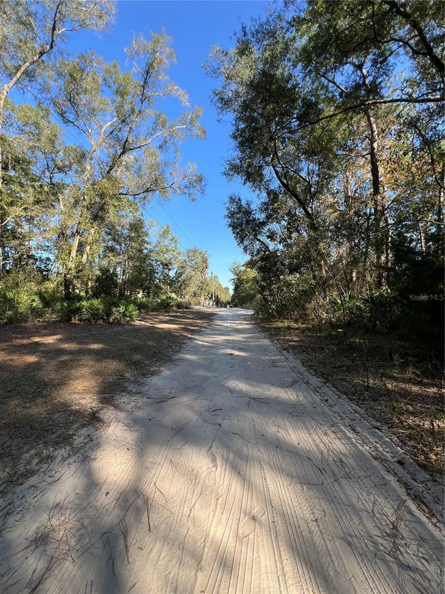 Tbd SE 179th Place Summerfield FL 34491