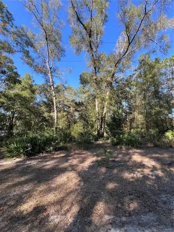 Tbd SE 179th Place Summerfield FL 34491