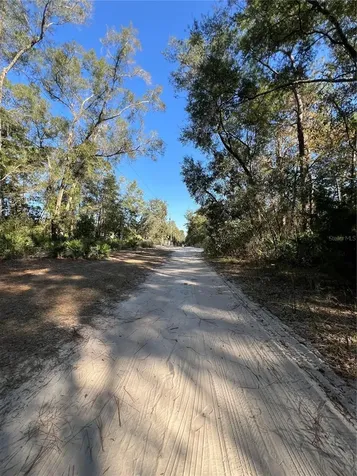 Tbd SE 179th Place Summerfield FL 34491