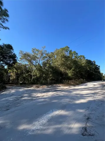 Tbd SE 179th Place Summerfield FL 34491