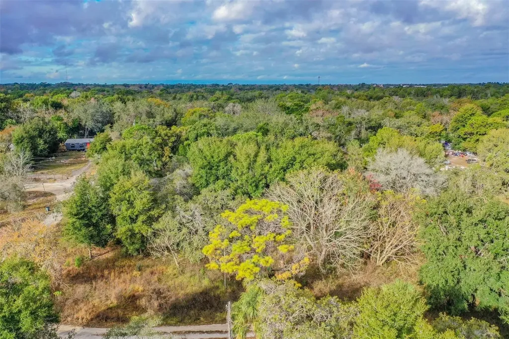 10209 Sybil Lane Hudson FL 34667
