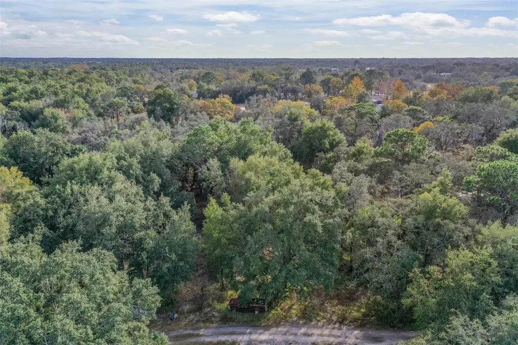 10209 Sybil Lane Hudson FL 34667