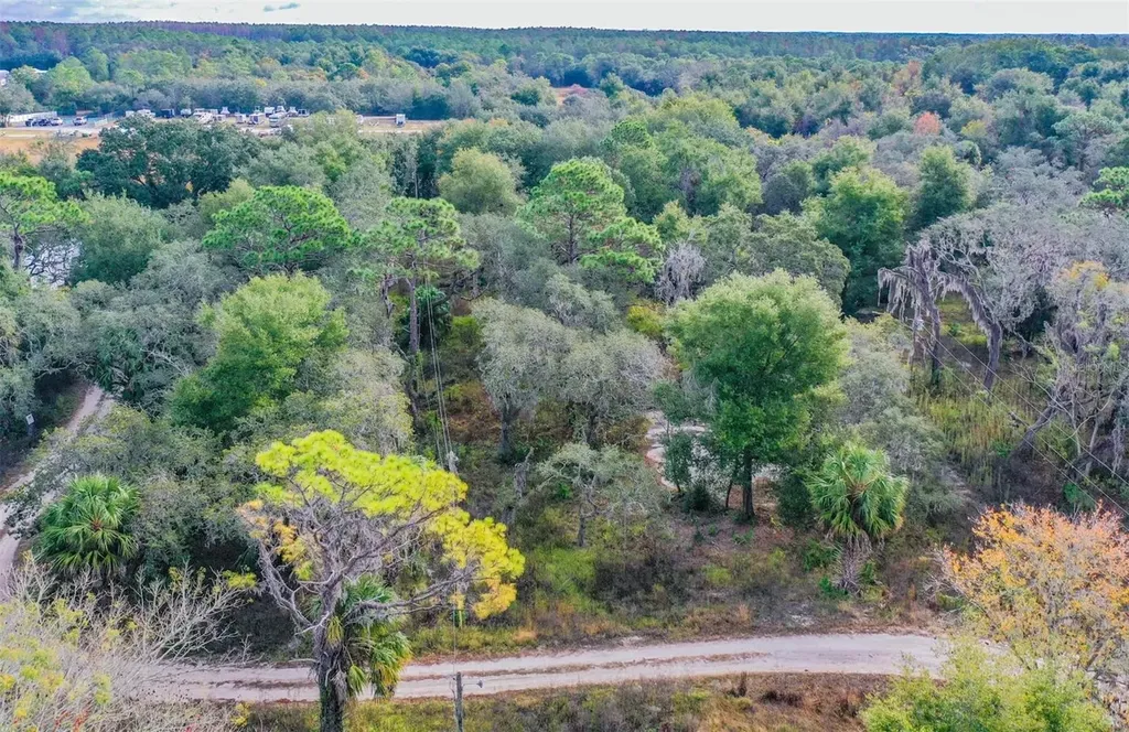 10209 Sybil Lane Hudson FL 34667