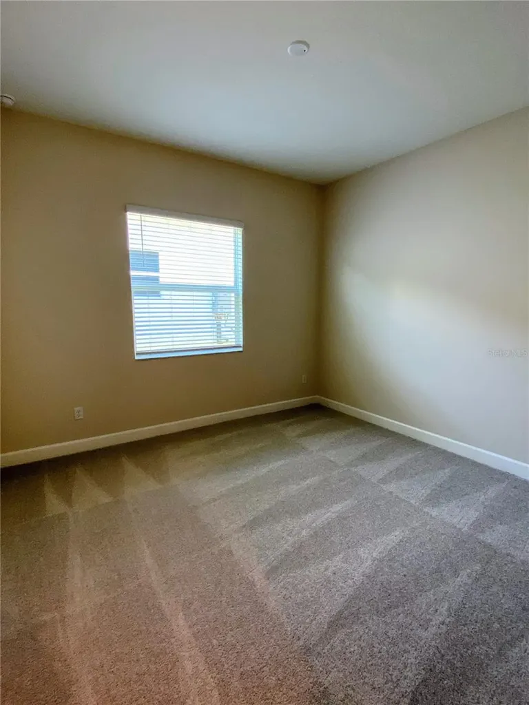 32643 Neroli Street Wesley Chapel FL 33543