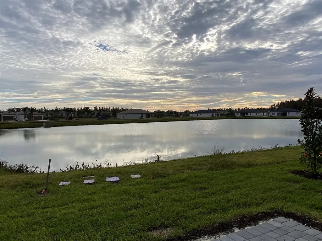 32643 Neroli Street Wesley Chapel FL 33543