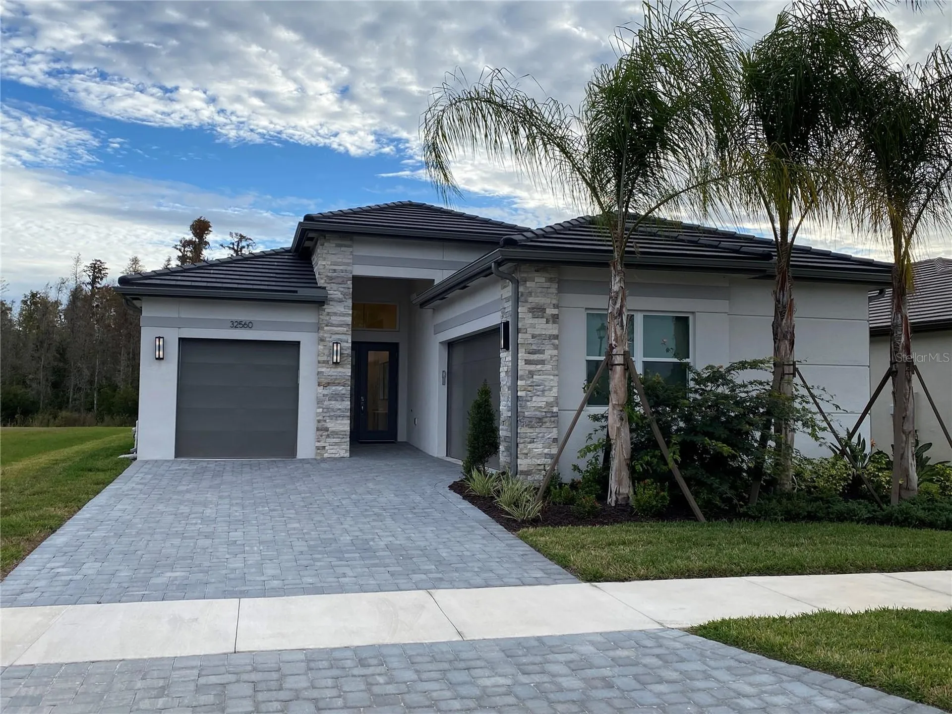 32643 Neroli Street Wesley Chapel FL 33543