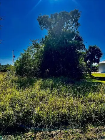 10245 Winstead Avenue Englewood FL 34224
