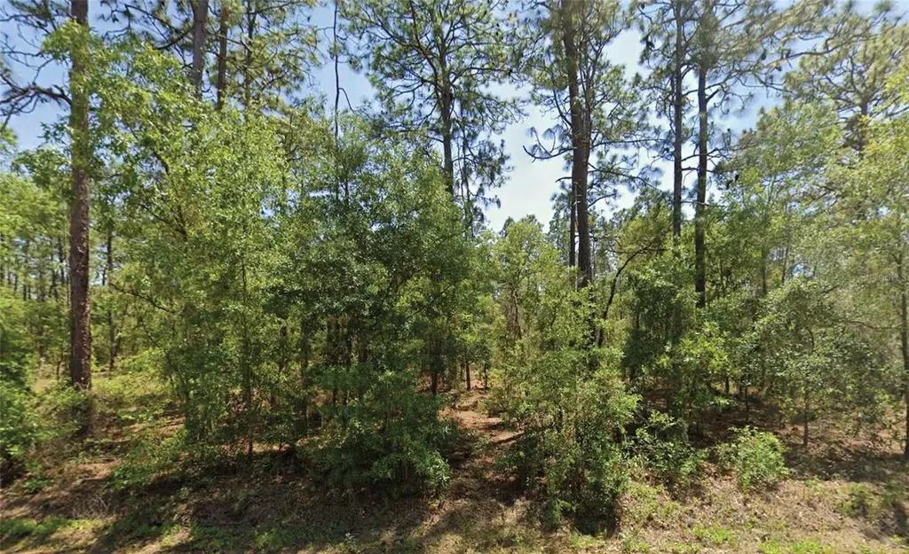 NW Water Oak Avenue Dunnellon FL 34431
