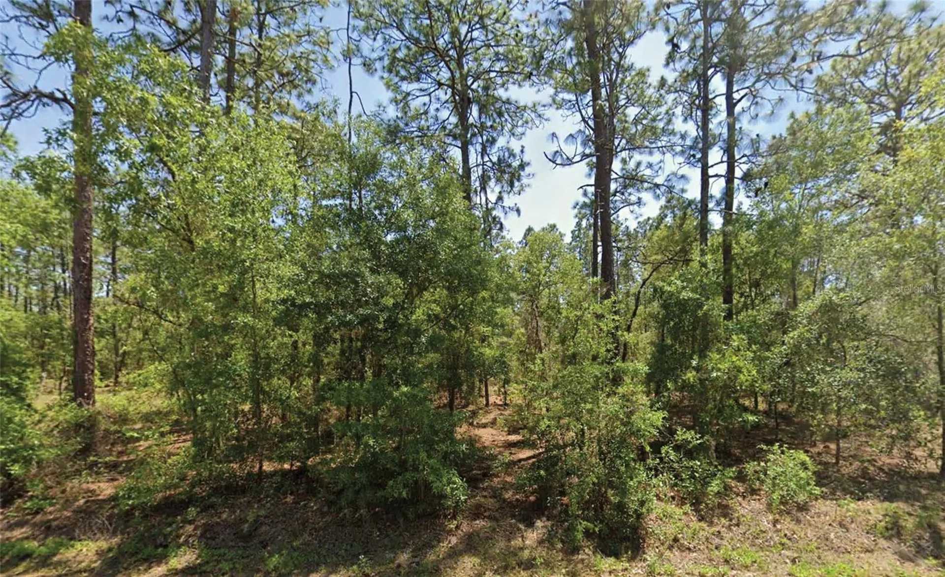 NW Water Oak Avenue Dunnellon FL 34431