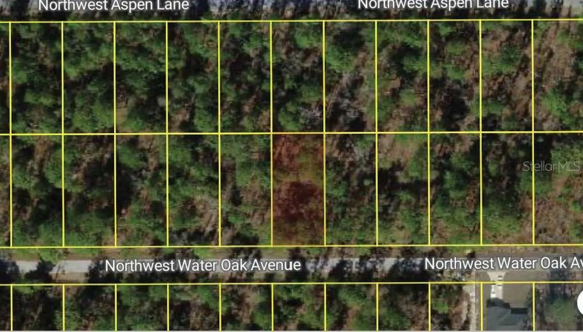 NW Water Oak Avenue Dunnellon FL 34431