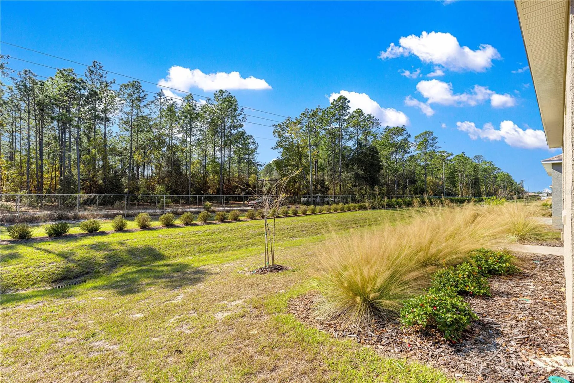 10242 SW 99th Lane Ocala FL 34481