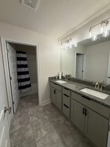 3828 Sagefield Drive Harmony FL 34773