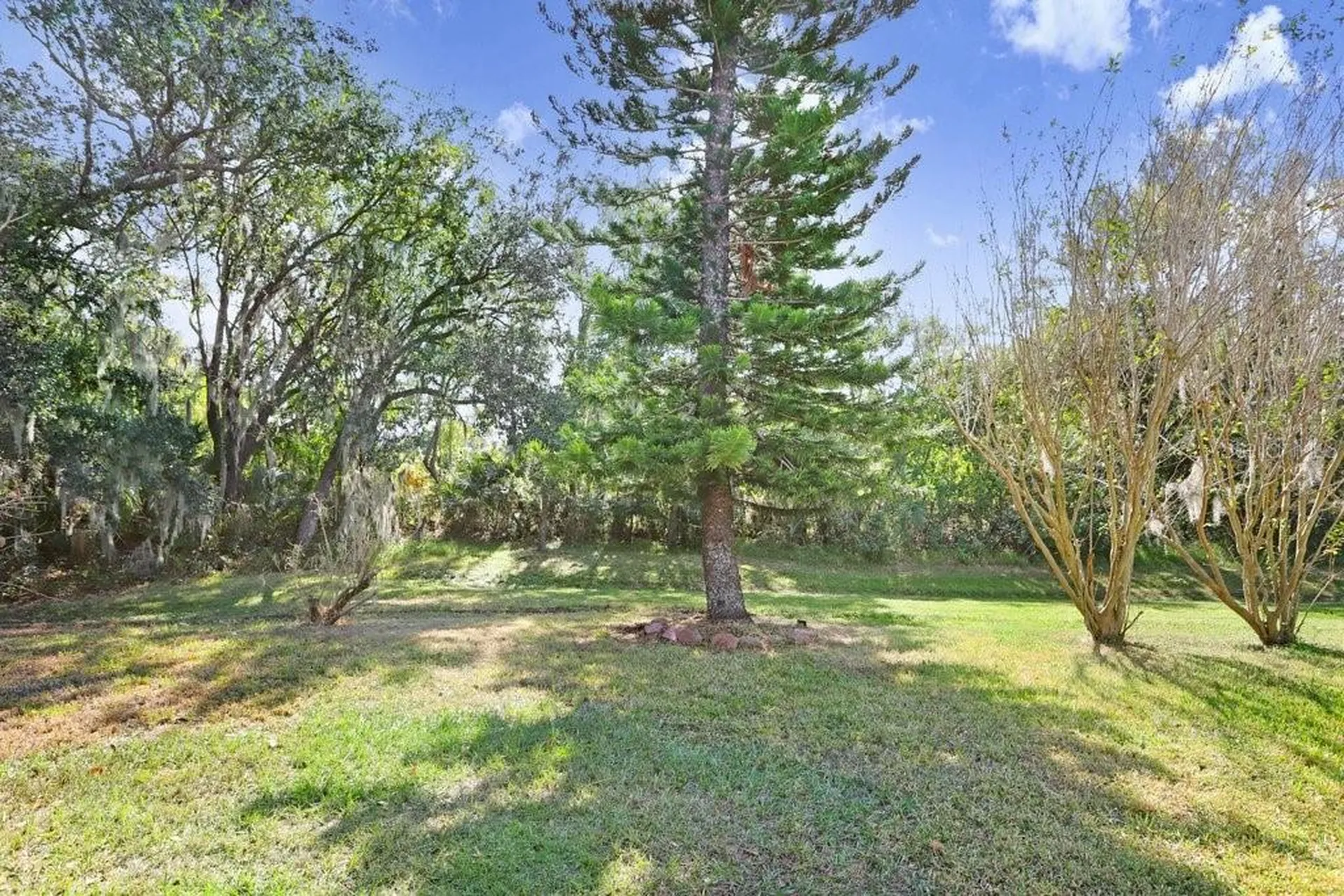 7214 Bucks Ford Drive Riverview FL 33578
