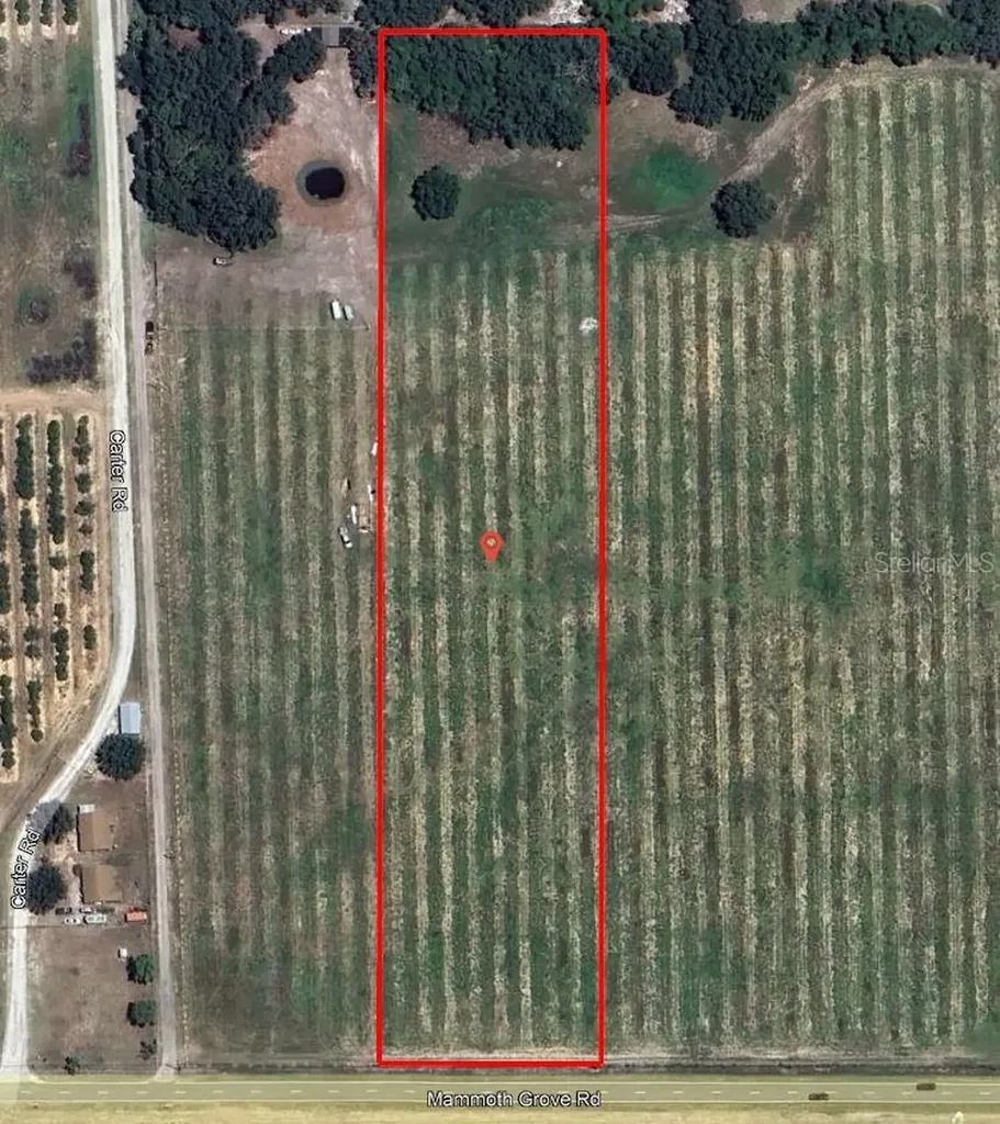 Mammoth Grove Road Lake Wales FL 33898