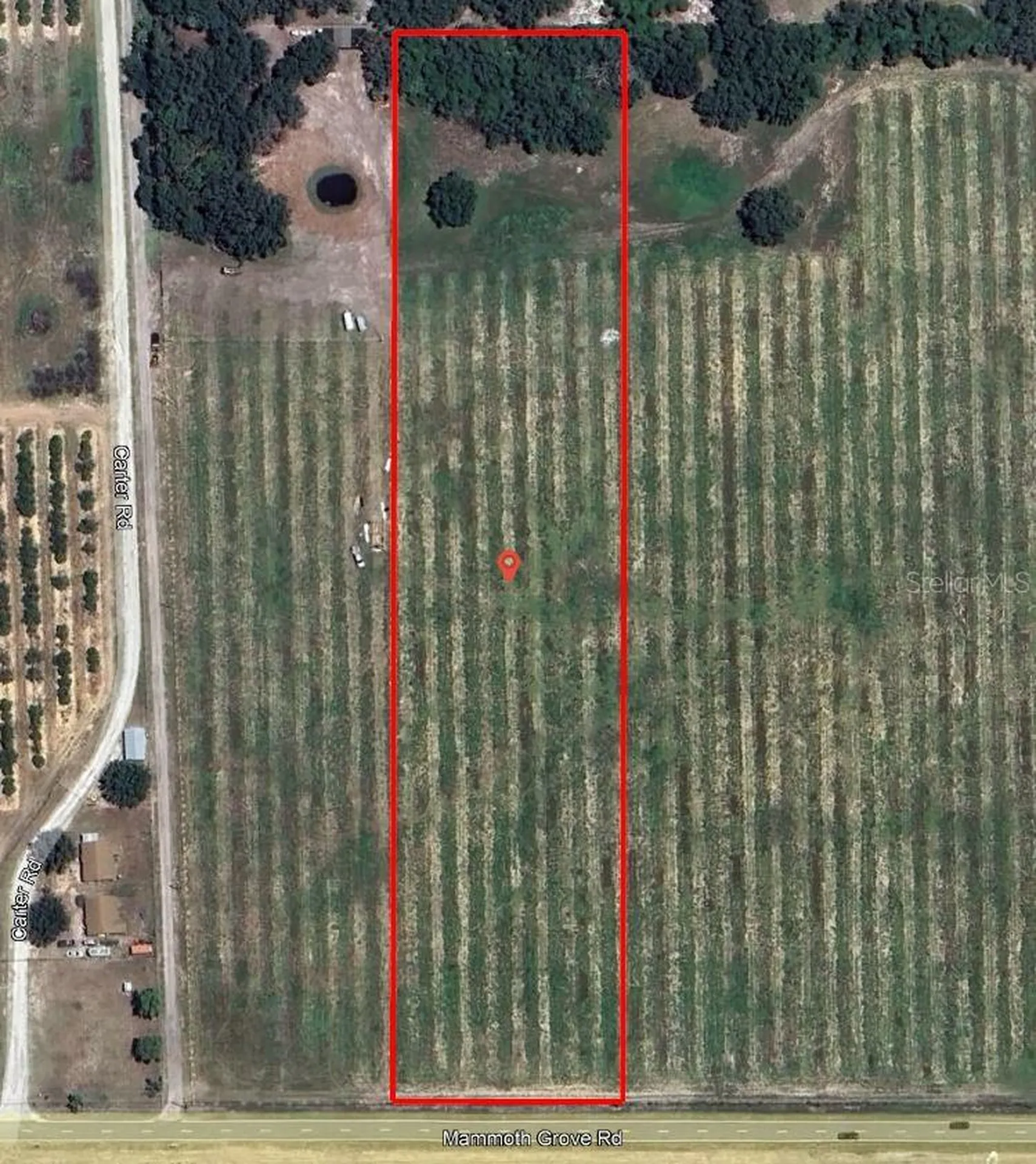 Mammoth Grove Road Lake Wales FL 33898