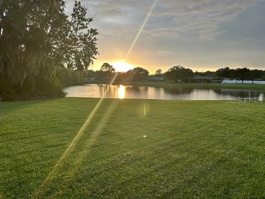 440 Lakeview Drive Oldsmar FL 34677