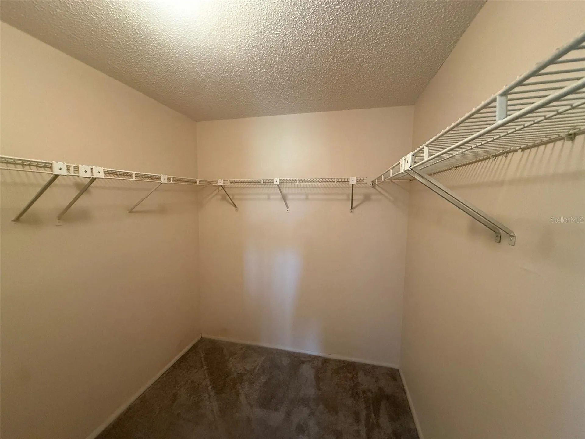 440 Lakeview Drive Oldsmar FL 34677