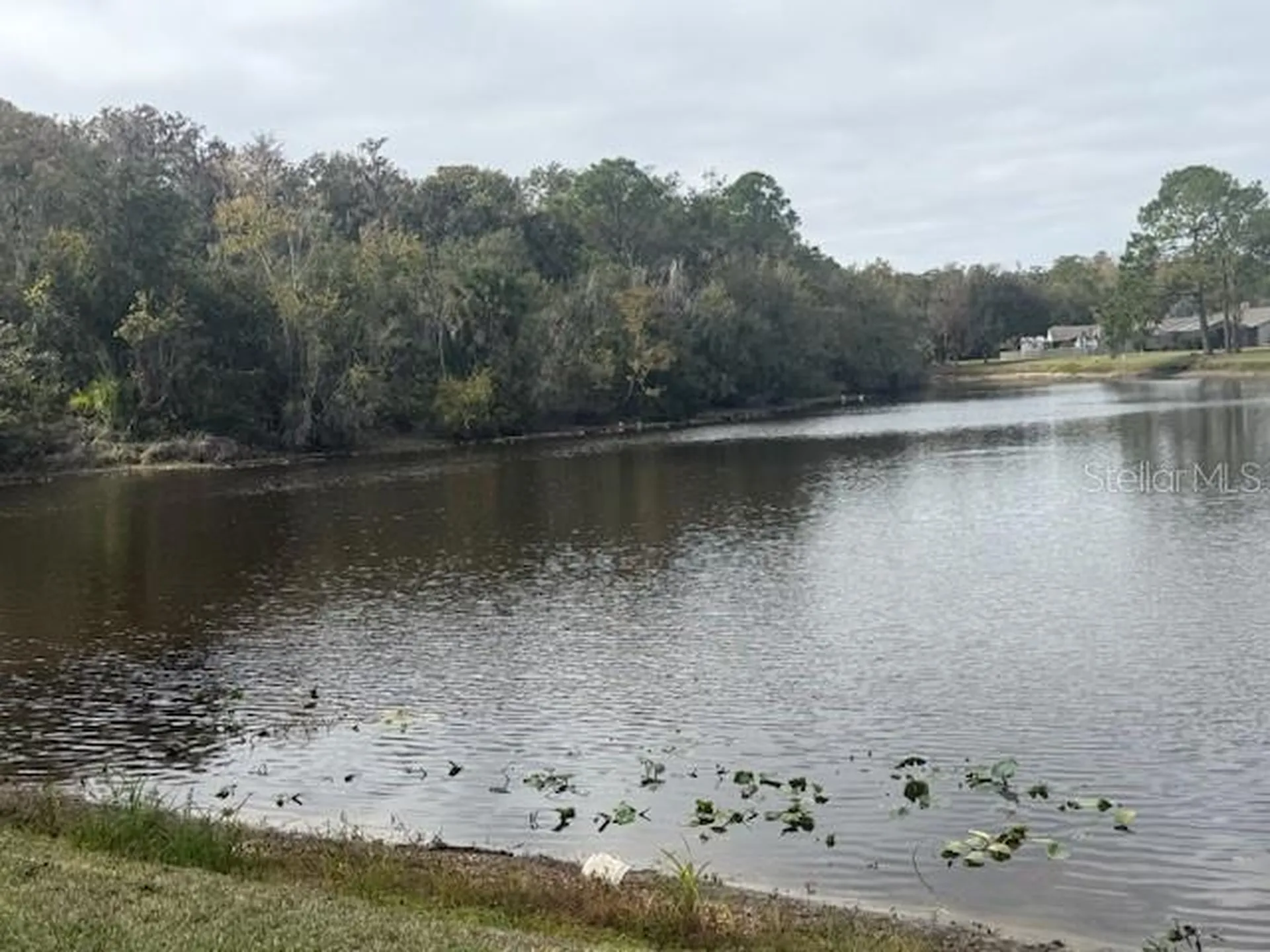 440 Lakeview Drive Oldsmar FL 34677