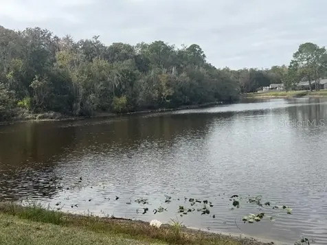 440 Lakeview Drive Oldsmar FL 34677