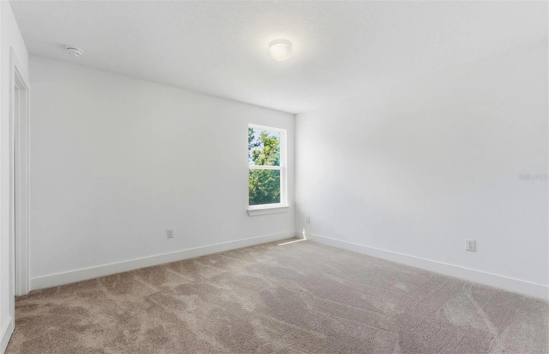 1662 Shields Point Zephyrhills FL 33541