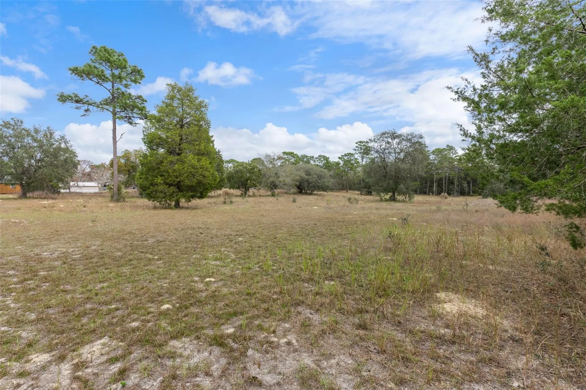 6329 & 6355 S Canna Lily Avenue Homosassa FL 34446