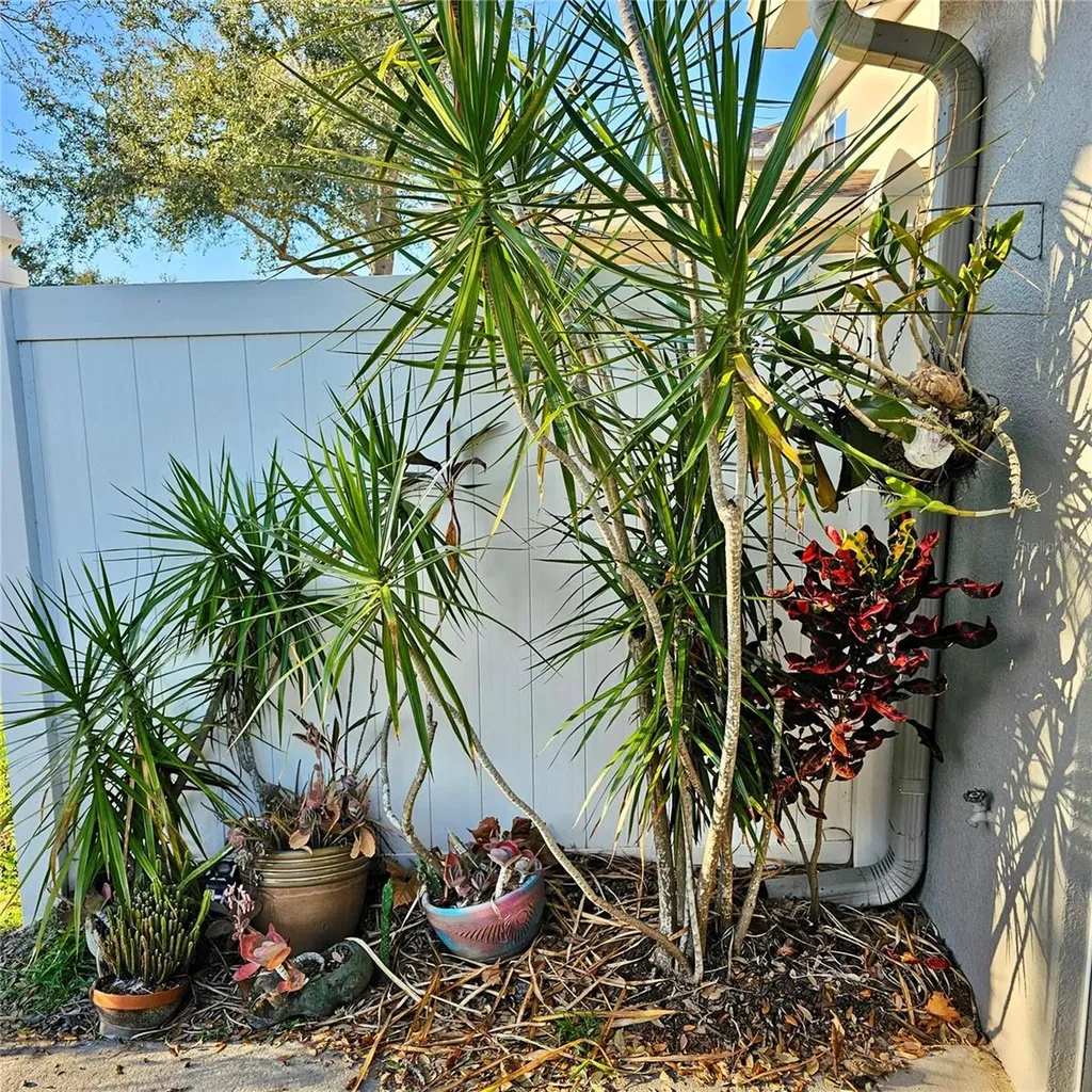 2568 Aventurine Street Kissimmee FL 34744