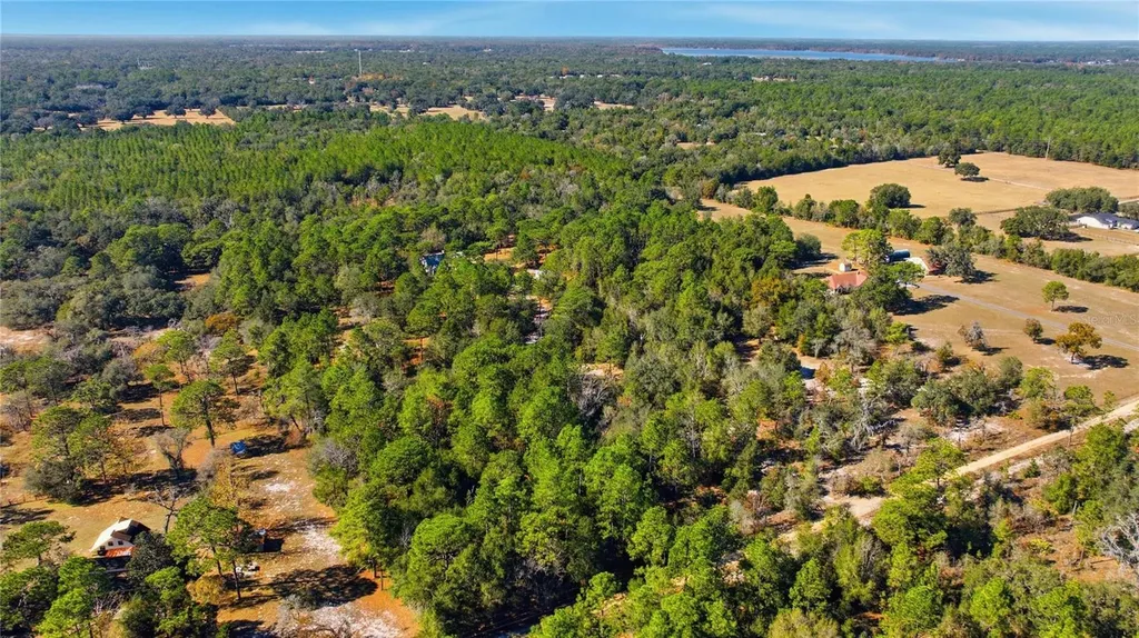 9600 N Holyoak Terrace Dunnellon FL 34433