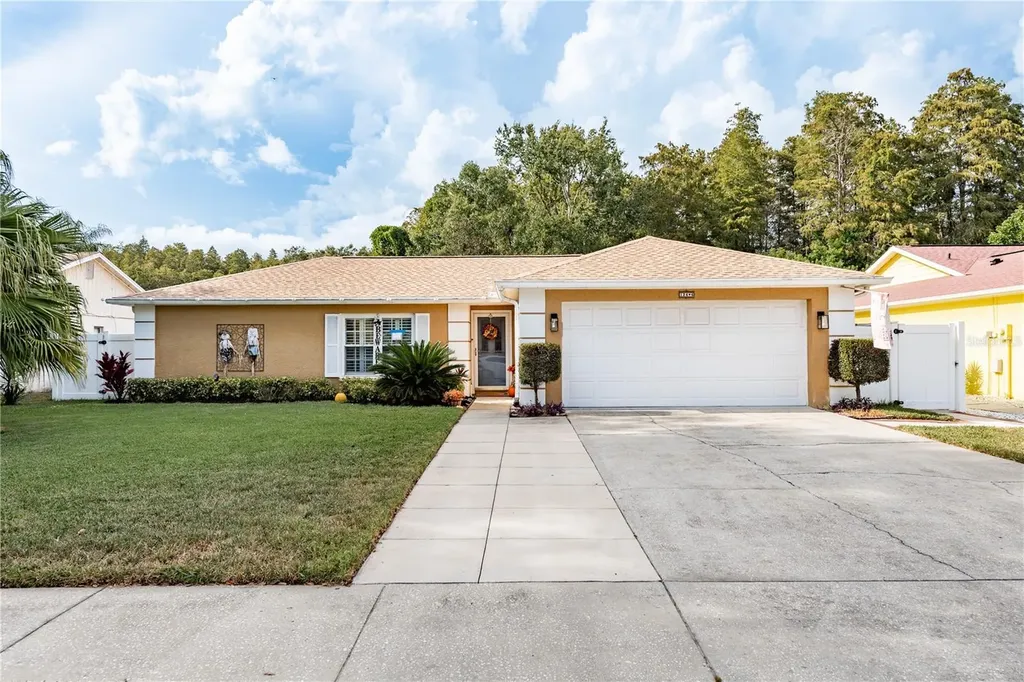 12406 Forest Lane Drive Tampa FL 33624
