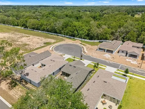 454 Skyfield Court Lady Lake FL 32159