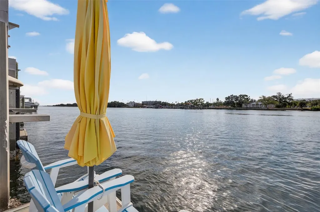 1009 Royal Pass Road Tampa FL 33602