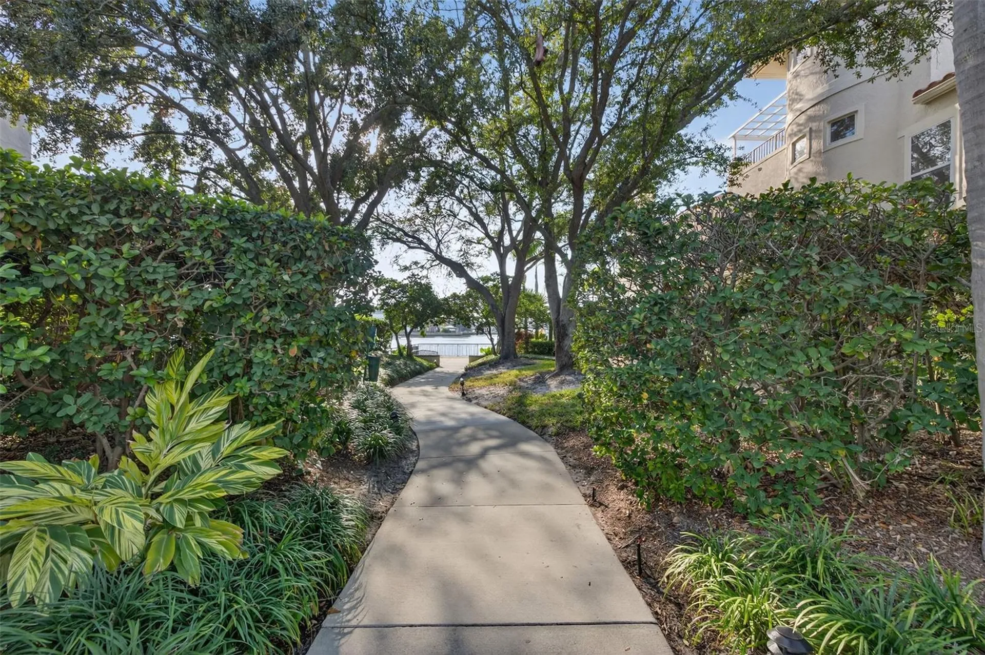 1009 Royal Pass Road Tampa FL 33602