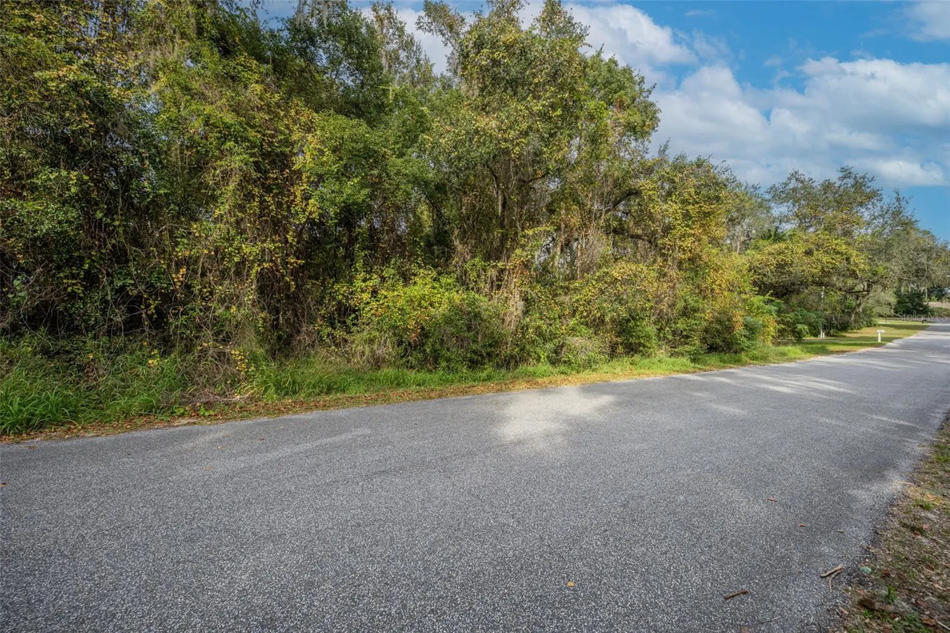 Royal Oak Road Fruitland Park FL 34731
