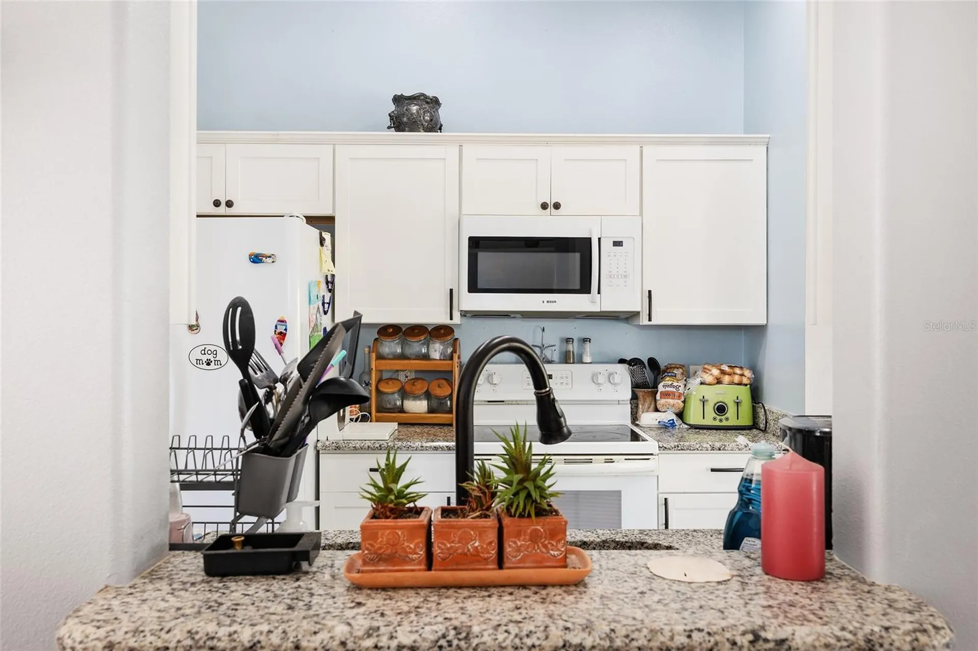 2219 SW 146th Loop Ocala FL 34473