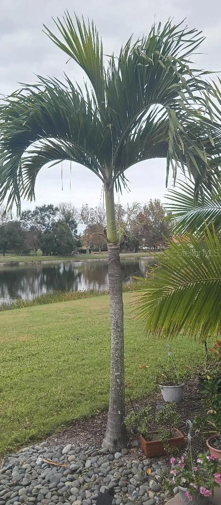 6650 Willowshire Way Bradenton FL 34212