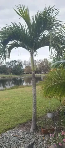 6650 Willowshire Way Bradenton FL 34212