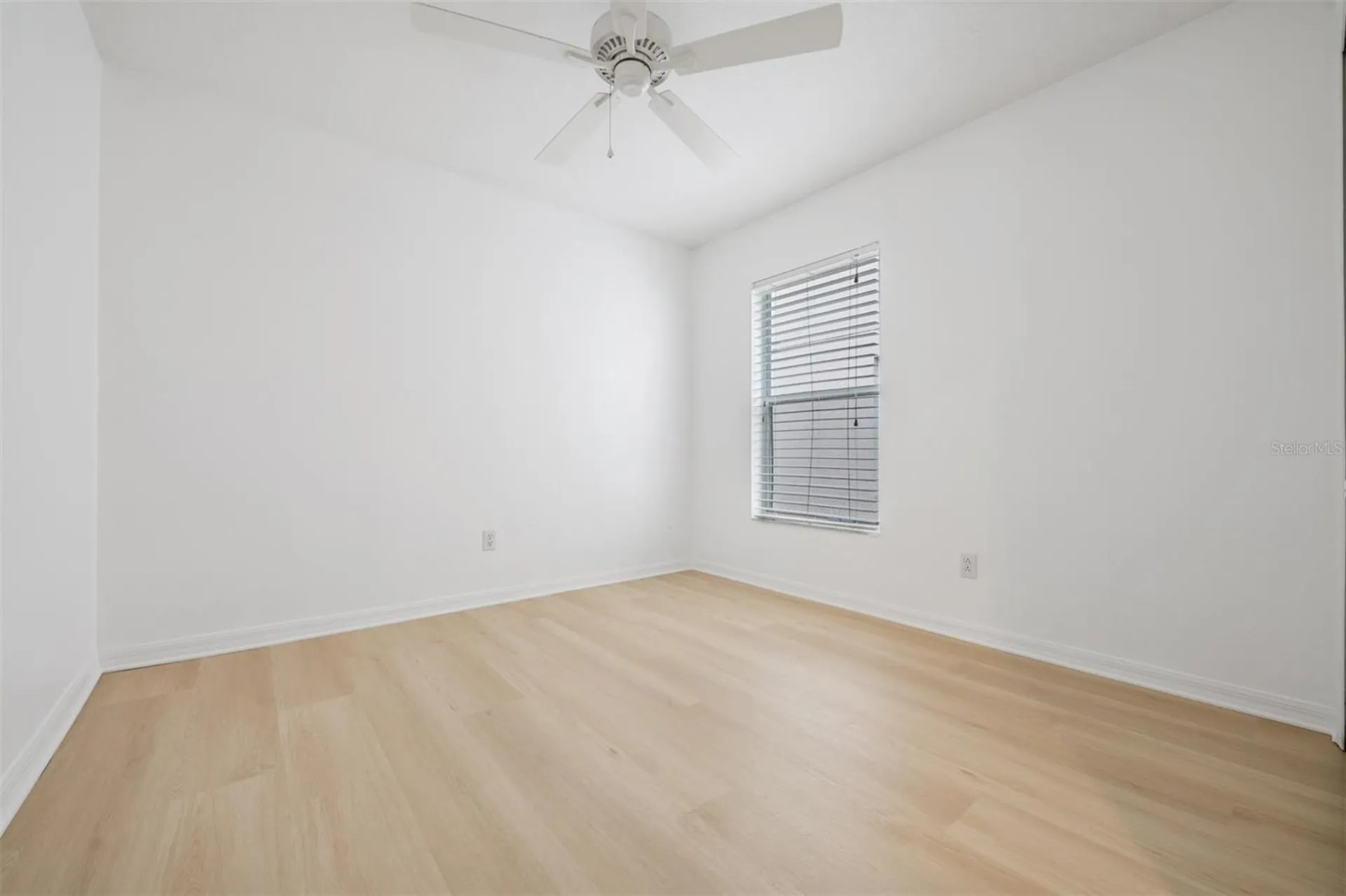 4208 Pine Isle Drive Lutz FL 33558