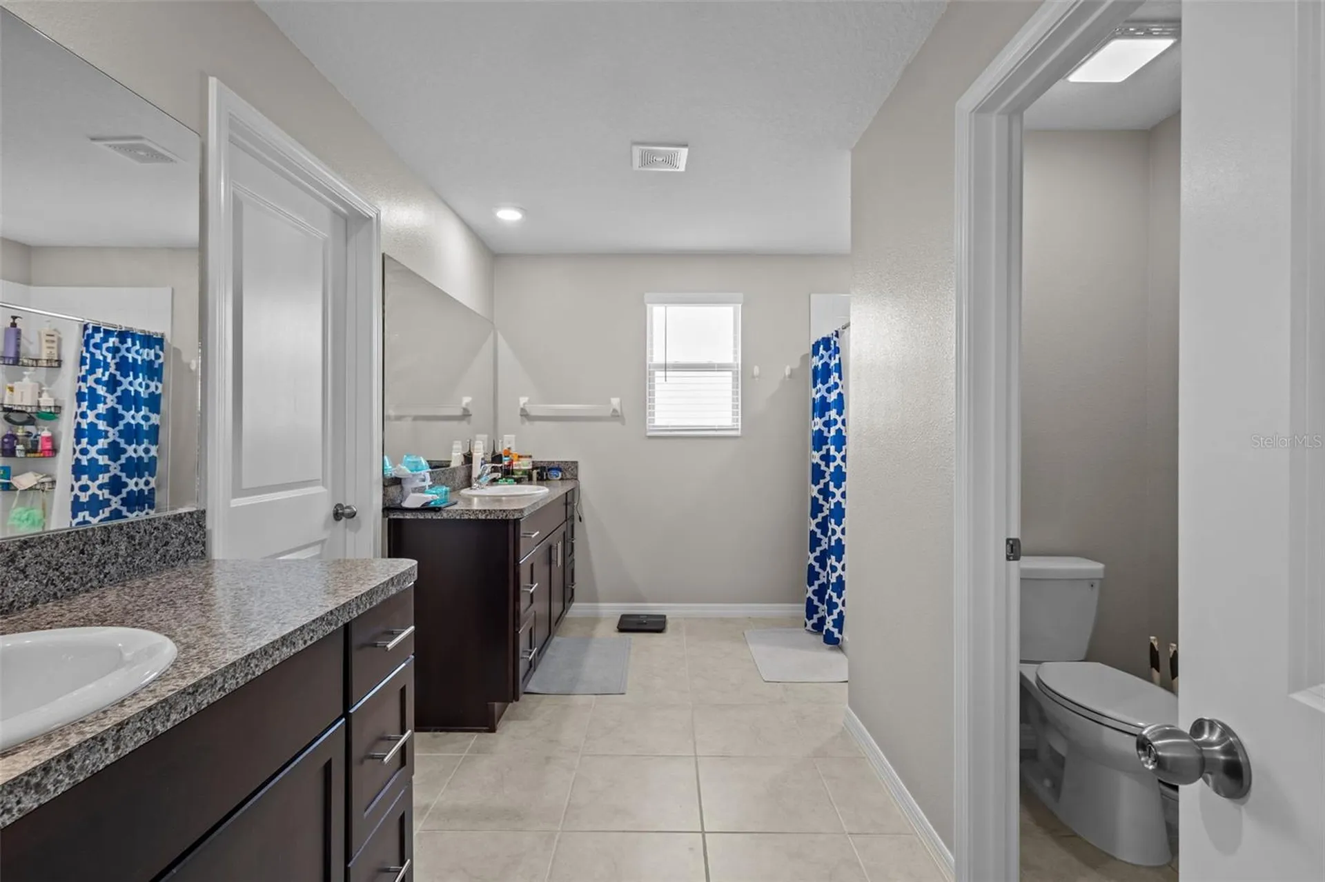 13549 Willow Bluestar Loop Riverview FL 33579