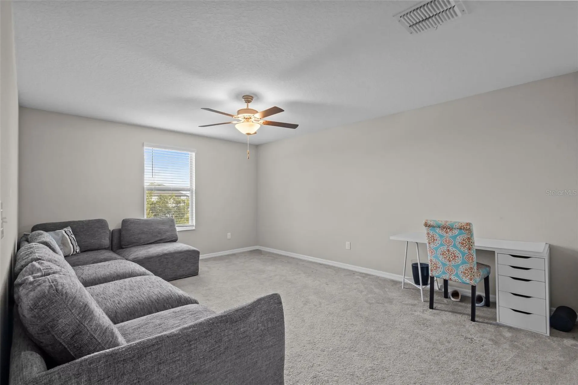 13549 Willow Bluestar Loop Riverview FL 33579