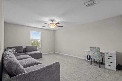 13549 Willow Bluestar Loop Riverview FL 33579