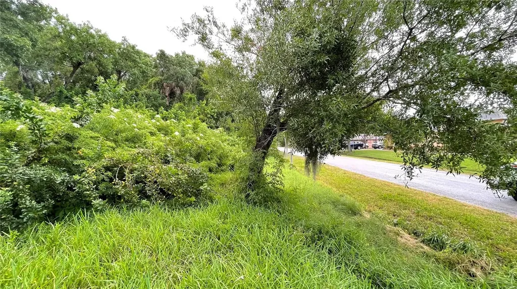 9461 W Norfolk Street Tampa FL 33615