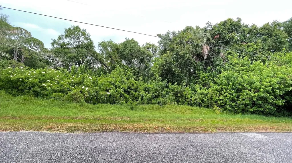 9461 W Norfolk Street Tampa FL 33615