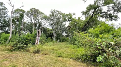 9461 W Norfolk Street Tampa FL 33615