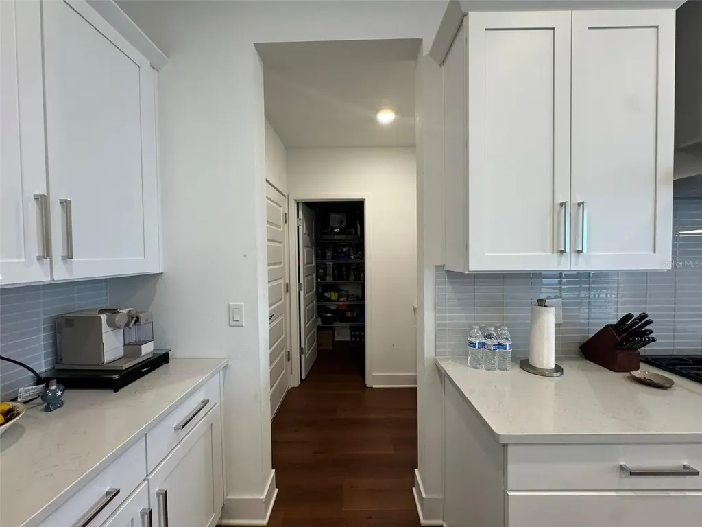 14931 Lebeau Loop Winter Garden FL 34787