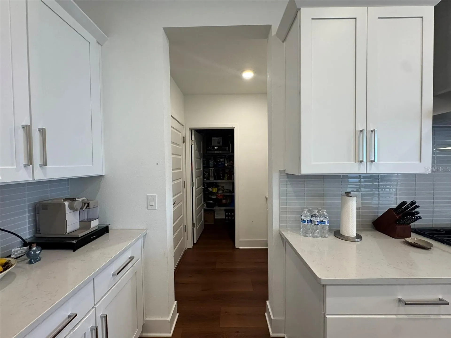 14931 Lebeau Loop Winter Garden FL 34787