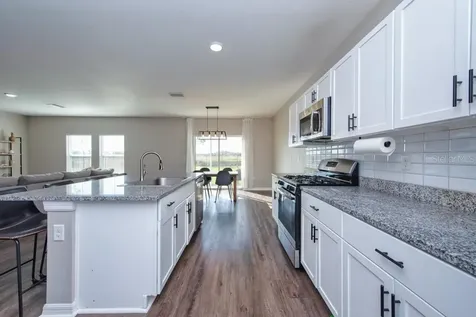 14617 Brumby Ridge Avenue Lithia FL 33547