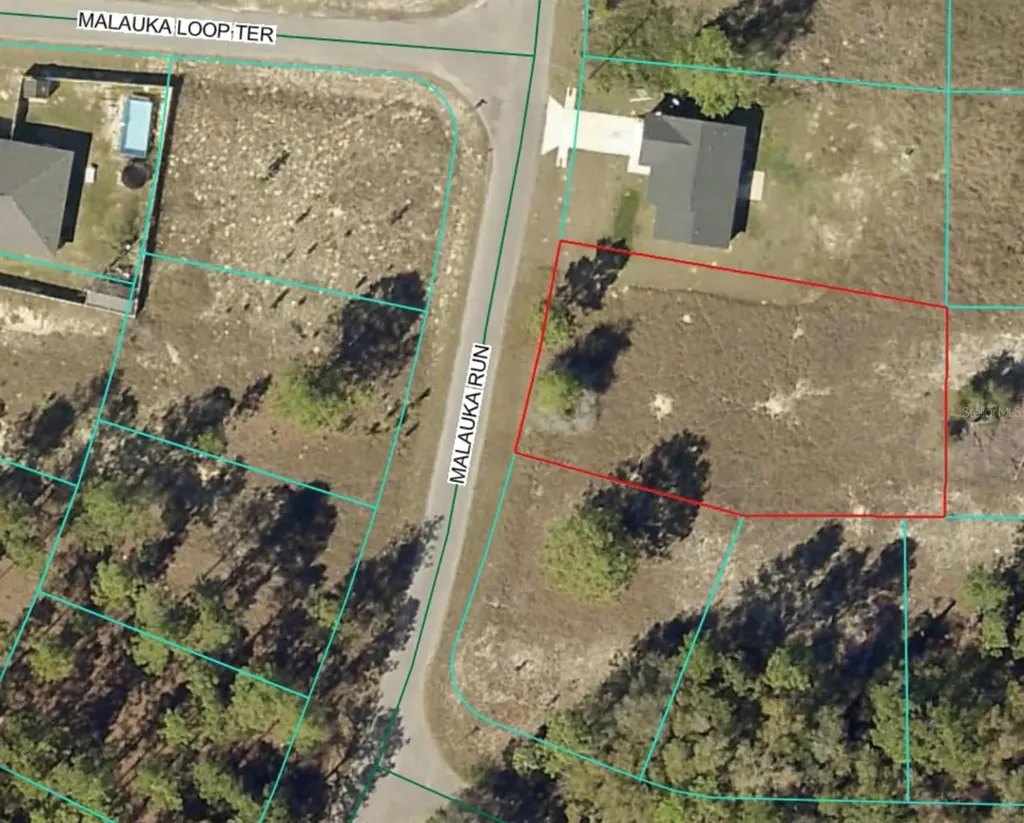 Lot 5 SE Malauka Run Ocklawaha FL 32179