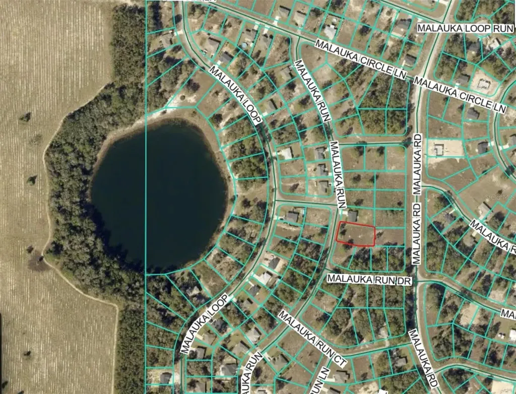 Lot 5 SE Malauka Run Ocklawaha FL 32179