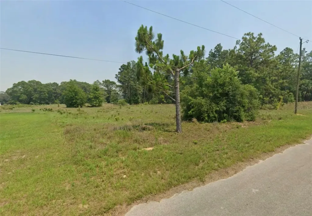 Lot 5 SE Malauka Run Ocklawaha FL 32179