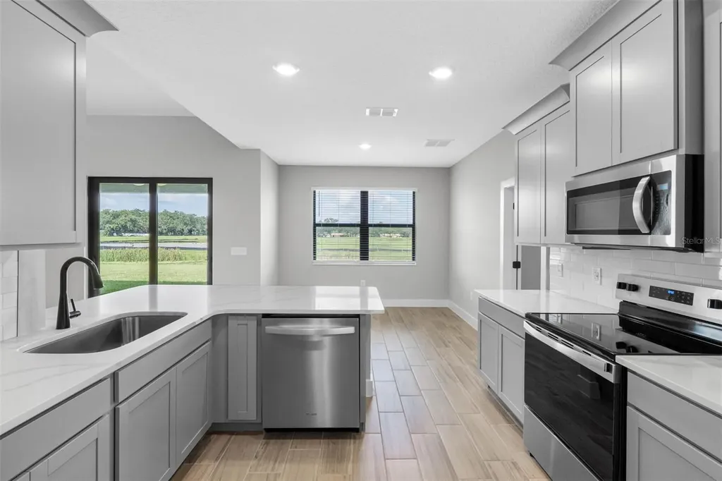 13494 Lake Gallagher Drive Dover FL 33527