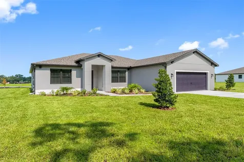 13494 Lake Gallagher Drive Dover FL 33527